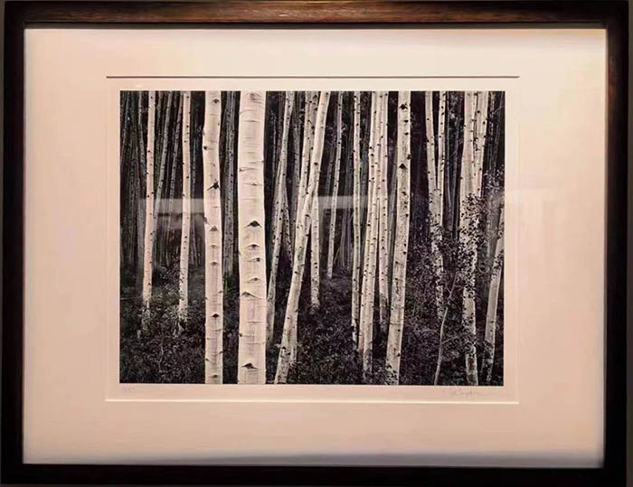 云顶集团app下载