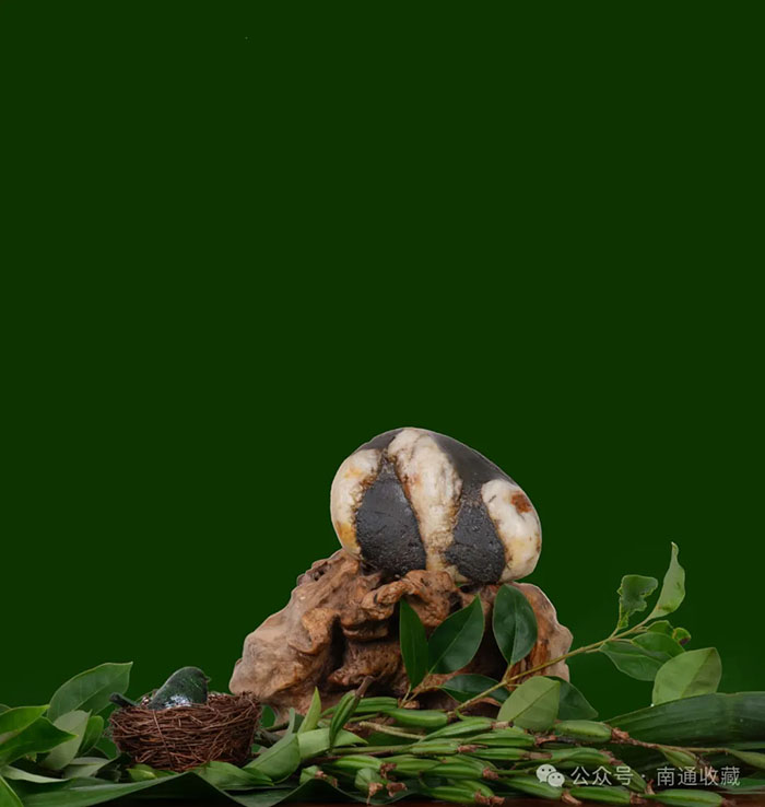 云顶集团app下载