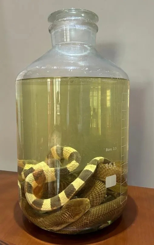 云顶集团app下载