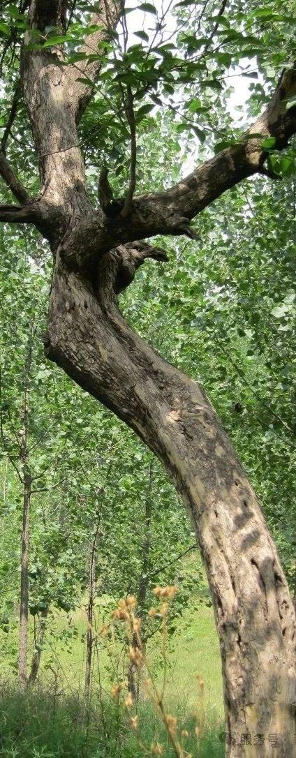 云顶集团app下载