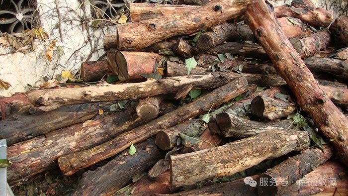 云顶集团app下载