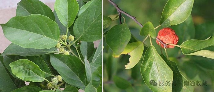 云顶集团app下载