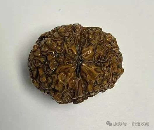 云顶集团app下载