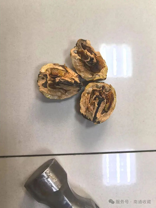 云顶集团app下载