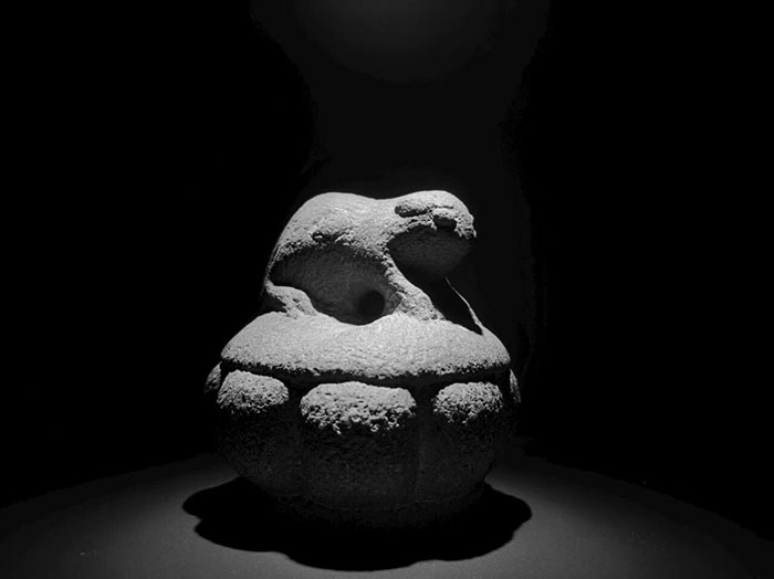 云顶集团app下载