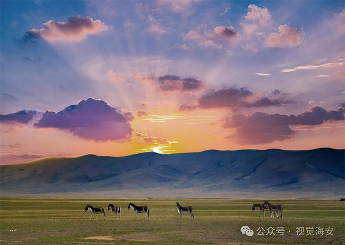 云顶集团app下载