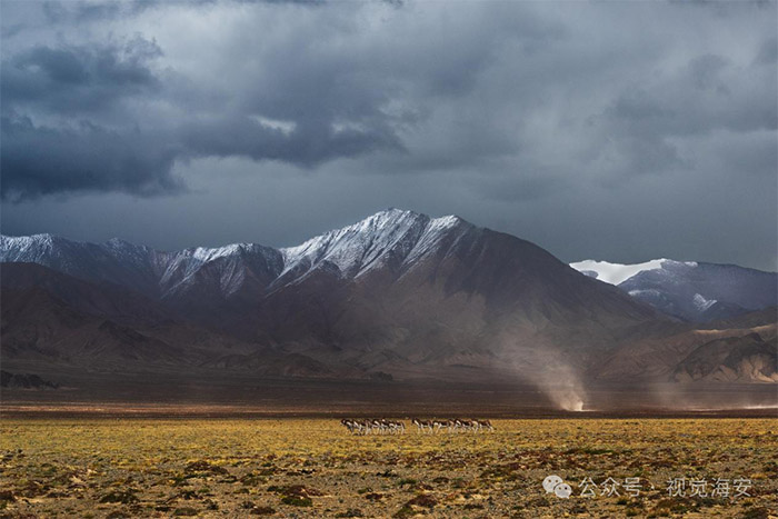 云顶集团app下载