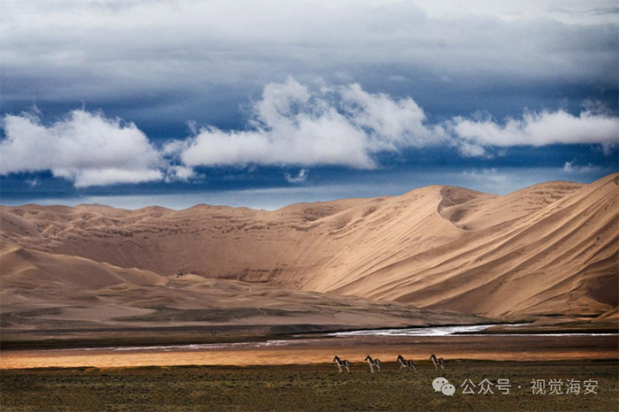 云顶集团app下载