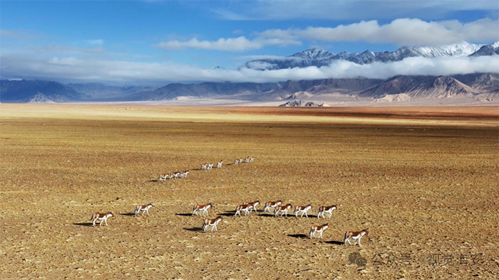 云顶集团app下载