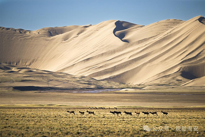 云顶集团app下载