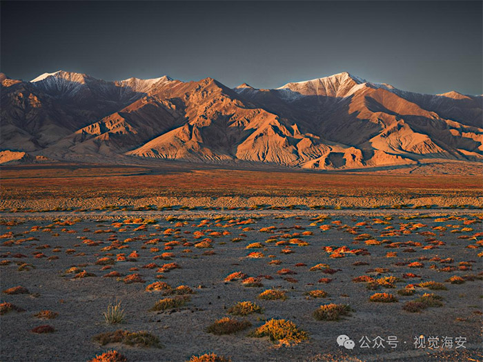 云顶集团app下载