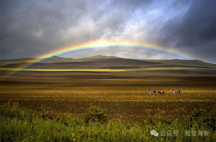 云顶集团app下载