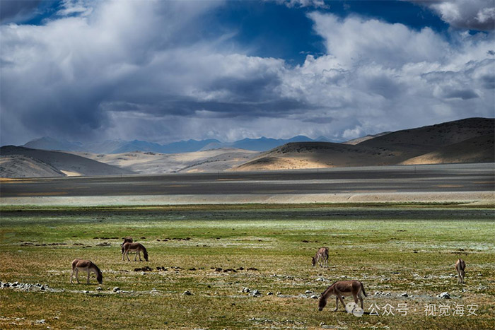 云顶集团app下载