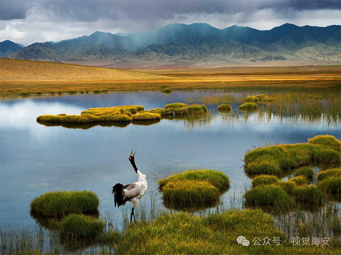 云顶集团app下载